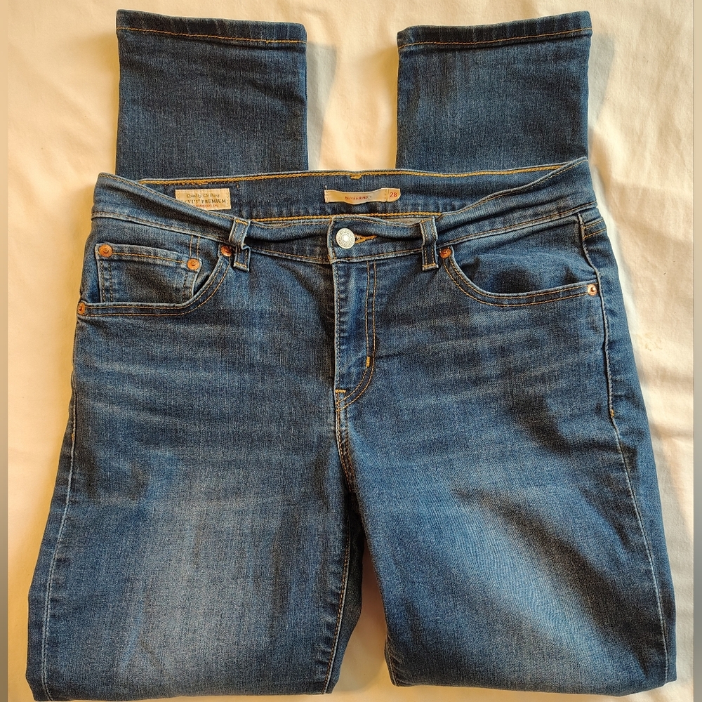 Levi's Premium Big E Red Tab Boyfriend Fit Jeans Size 28